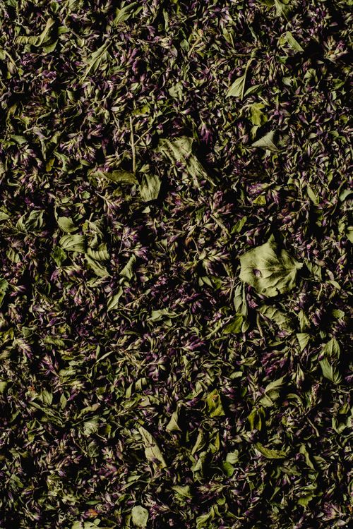 Kasuri Methi - dried fenugreek leaves close up